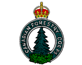 Canadian Forestry Corps Badge