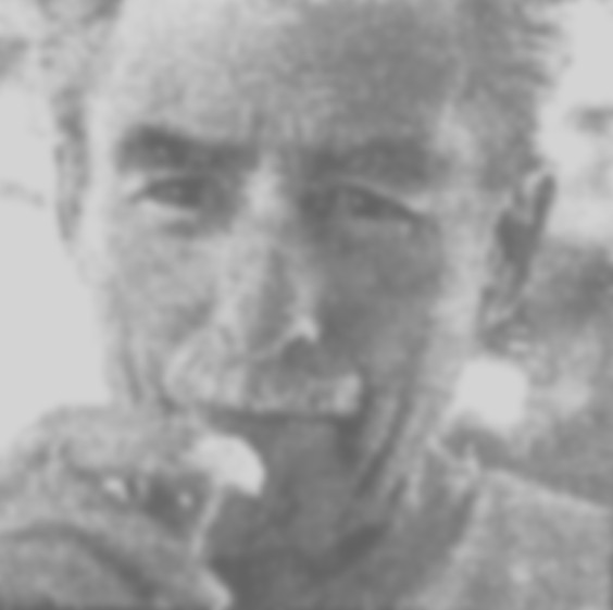 J. Edward Daoust 