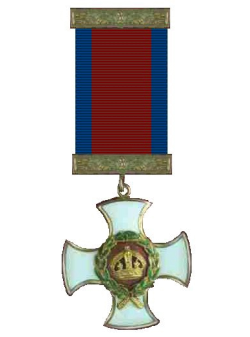 Distiguished Service Order