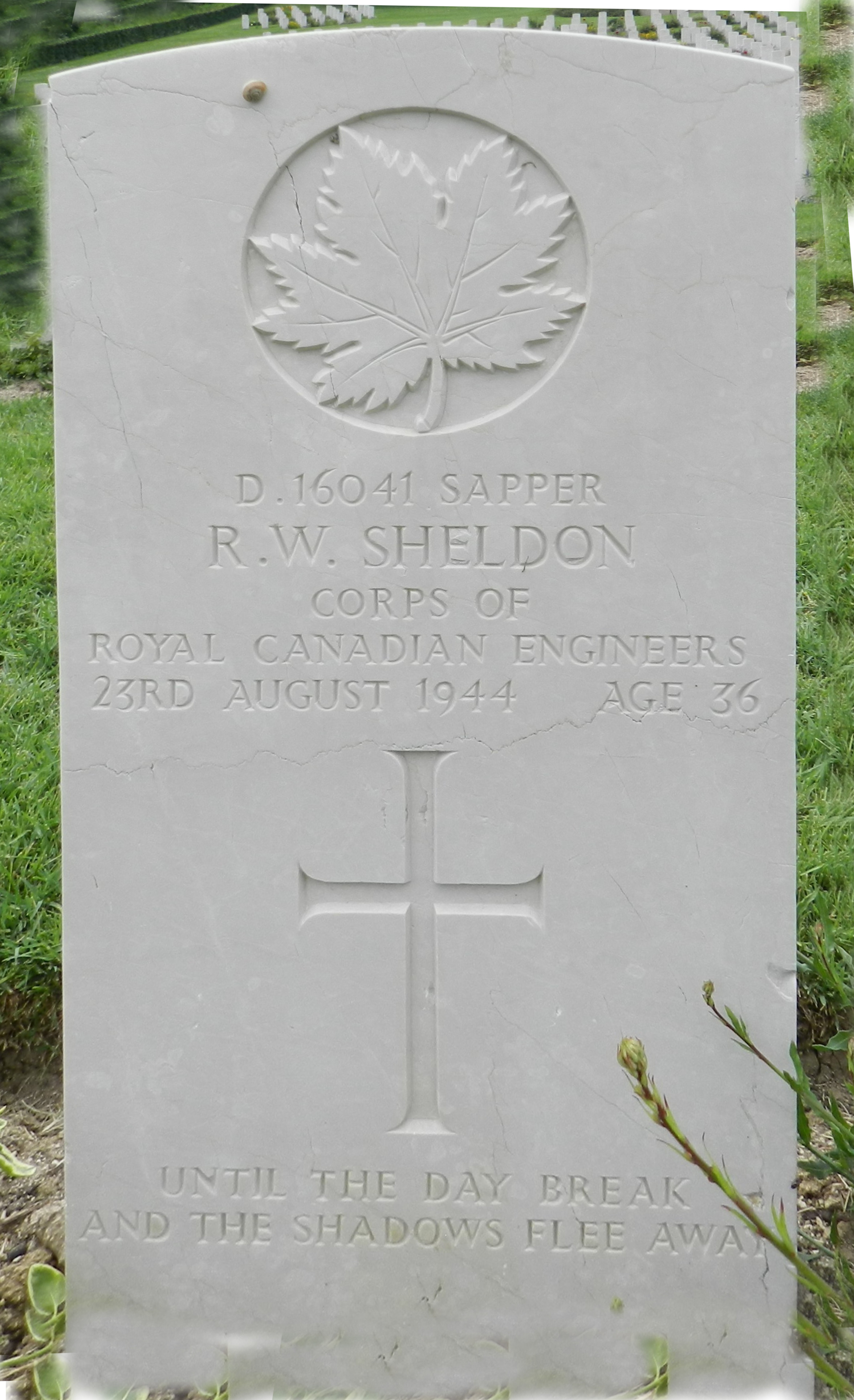 Spr RW Sheldon, Ancona Cemetery