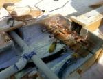 Plumbers design a distribution system for the four MECC Ablutions