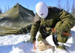 Ex NORTHERN SAPPER