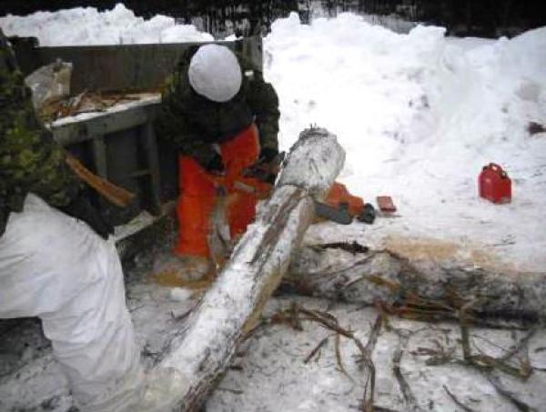 Sappers prepare logs to build barricades. Credit: Lt Kevin Madore