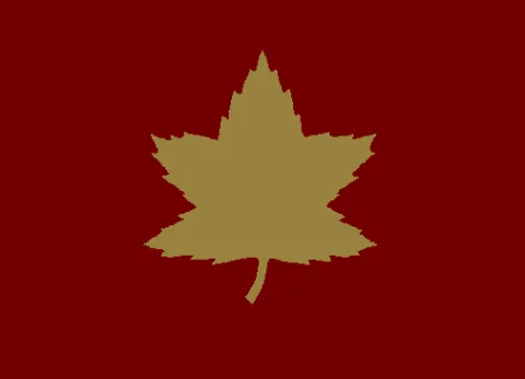 5th Canadian Division Patch