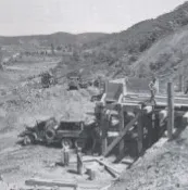 Plant operations in Korea