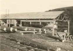 Canadian Forestry Corps Portable Sawmill