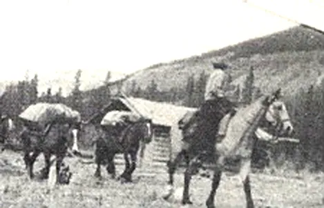 Royal Engineer Surveyors on the Cariboo Trail