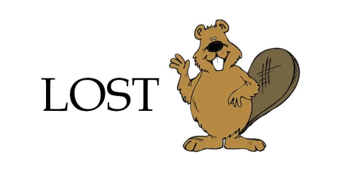 Lost Beaver