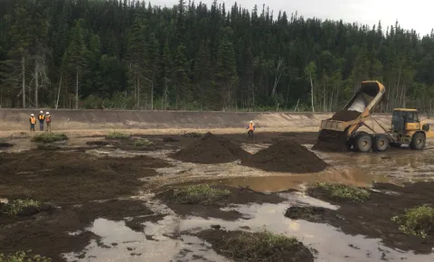Planting vegetation in the Engineered Wetland, South Escarpment at CFB Goose Bay, NL